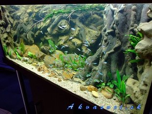 500 phoca thumb l amazon 400l 19