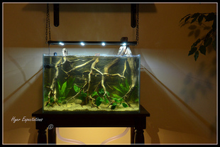 700 6074944140 95ebe3e06c z