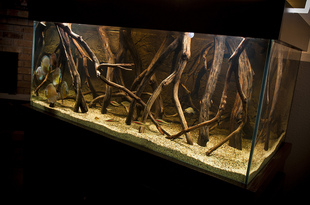 990 5594357318 12dc0ef9ec b